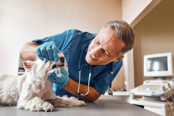 Best Emergency Tooth Extraction in East Palestine, OH